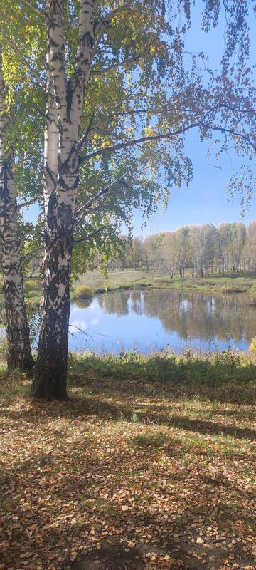 Маршрут в Неизвестная Дорога