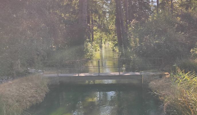 Foto 2 der Bikemap-Route "Lochbach"