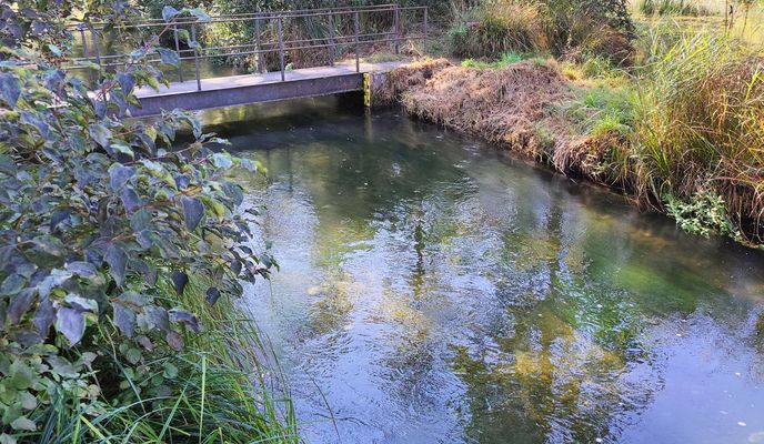 Foto 1 der Bikemap-Route "Lochbach"