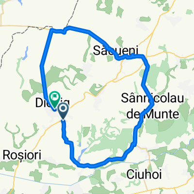 diosig