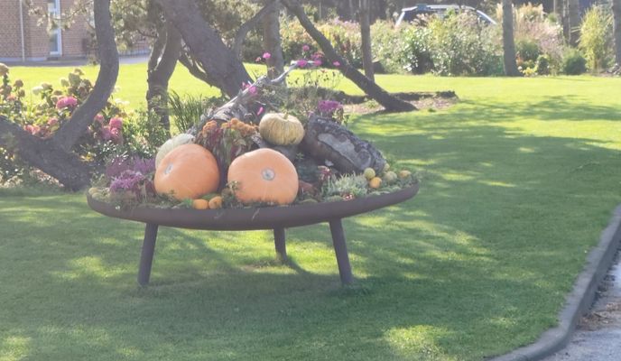 Zdjęcie 1 trasy Bikemap „Tane Hedevej 31A nach Tane Hedevej 31A”