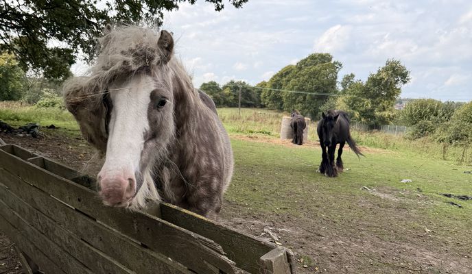 Zdjęcie 2 trasy Bikemap „East Hill, Dartford to Beechenlea Lane, Swanley”