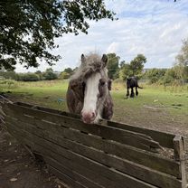 East Hill, Dartford to Beechenlea Lane, Swanley