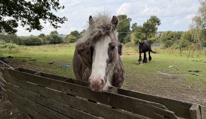 Zdjęcie 1 trasy Bikemap „East Hill, Dartford to Beechenlea Lane, Swanley”