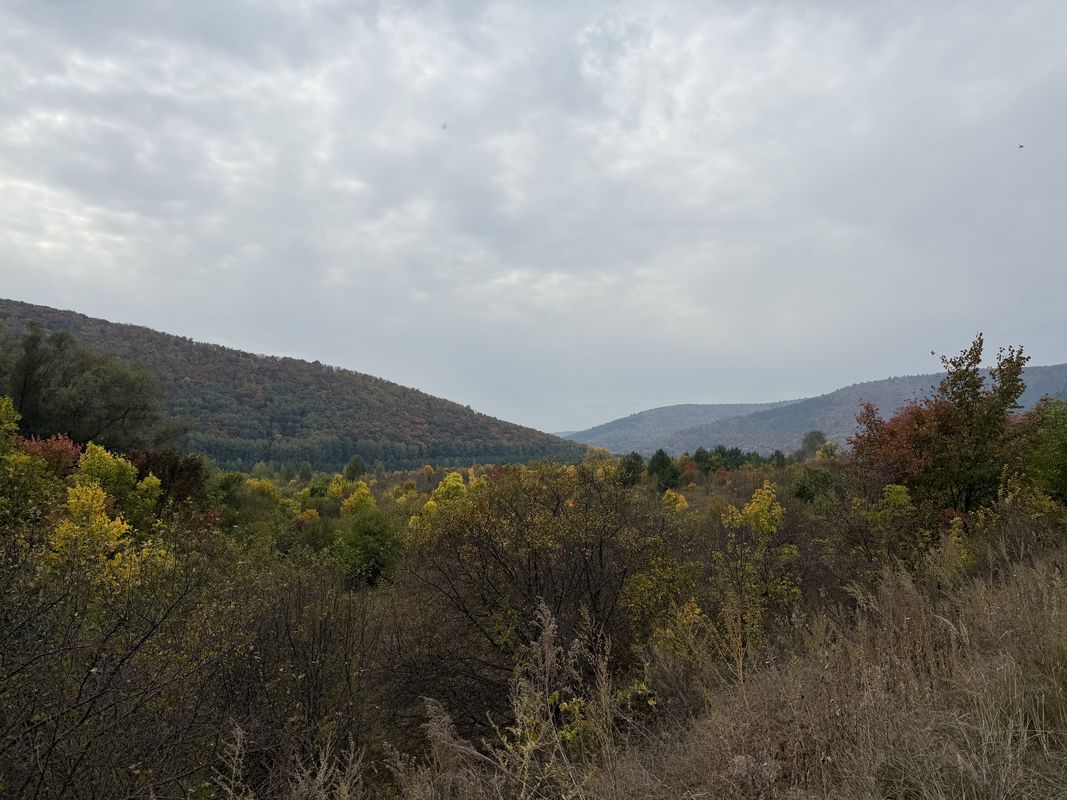 Полевая улица, Рождествено до улица Берег Воложки, Рождествено