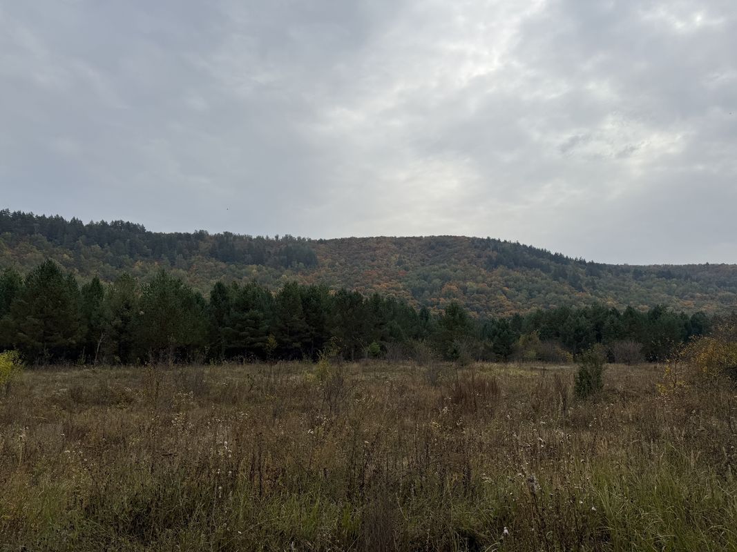 Полевая улица, Рождествено до улица Берег Воложки, Рождествено