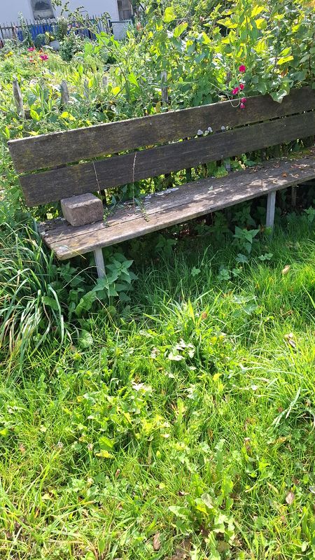 Waldstraße nach Kapellenstraße