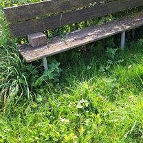 Waldstraße nach Kapellenstraße