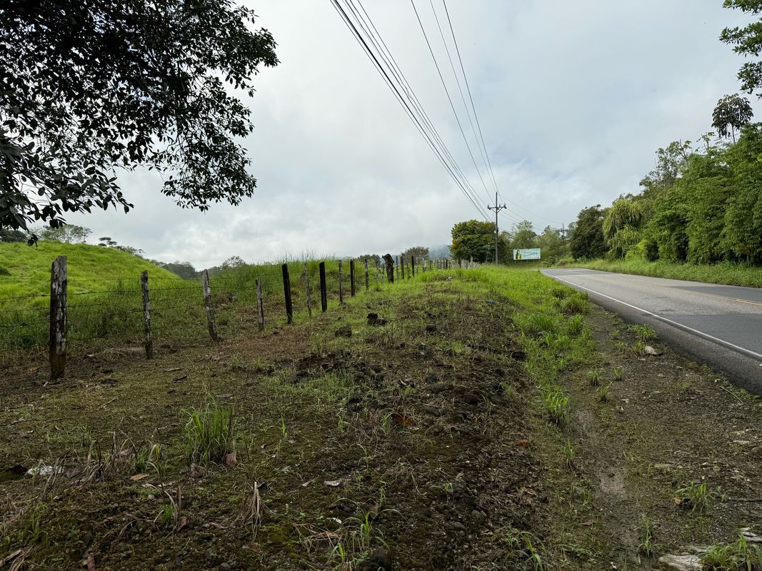 La piedra km 20