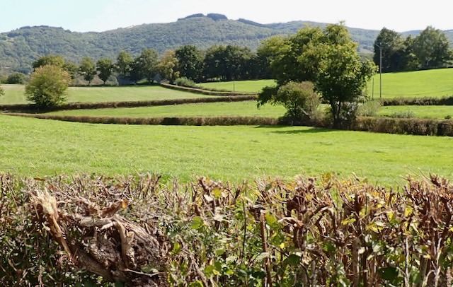 Toulon-sur-Arroux to Autun
