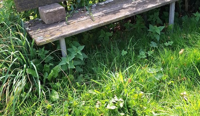 Foto 2 der Bikemap-Route "Waldstraße nach Kapellenstraße"