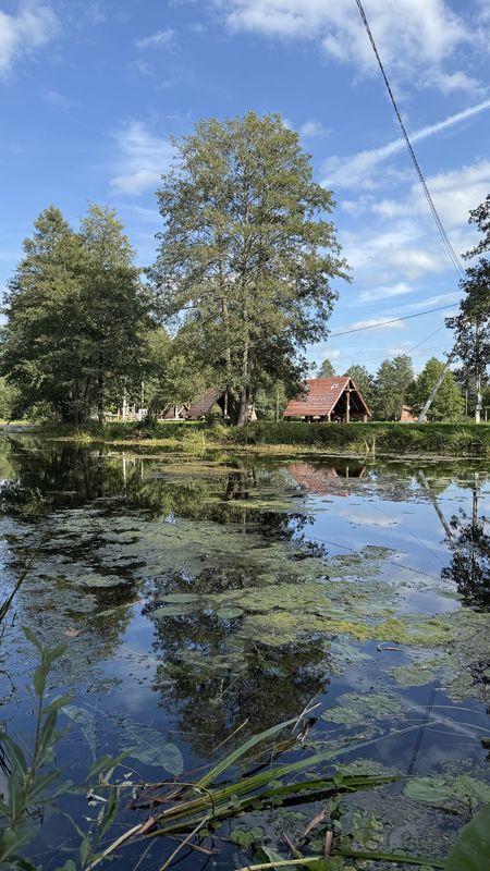 Центральная улица, Столбцы до Центральная улица, Столбцы