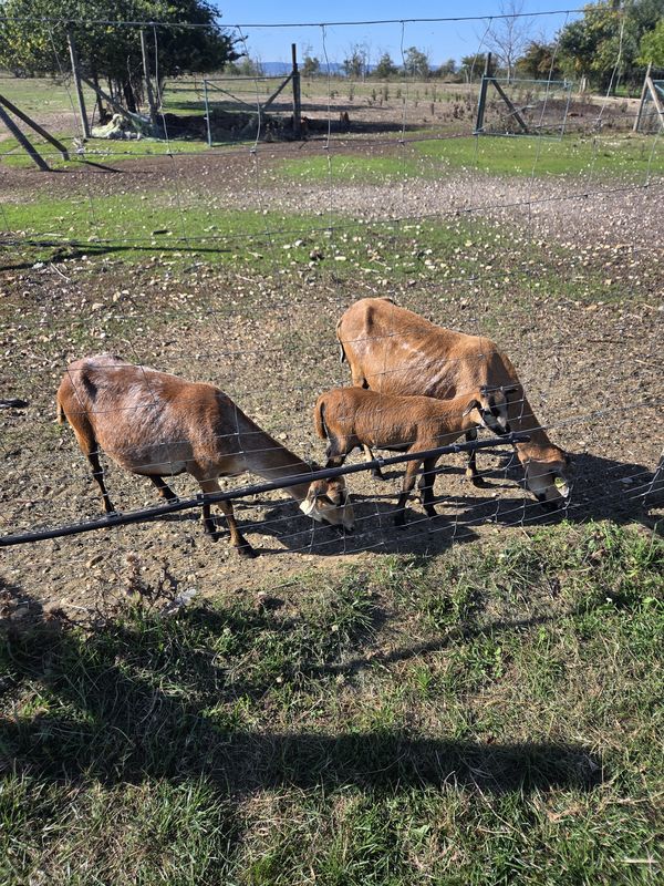 Am Bauhof nach Campingstraße