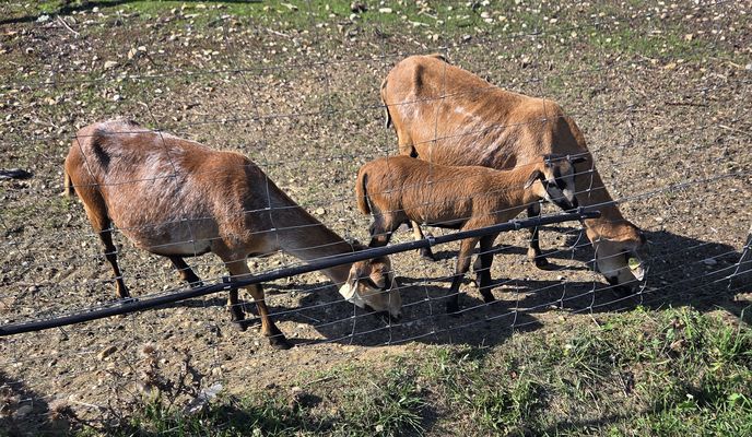 Foto 2 del percorso Bikemap "Am Bauhof nach Campingstraße"