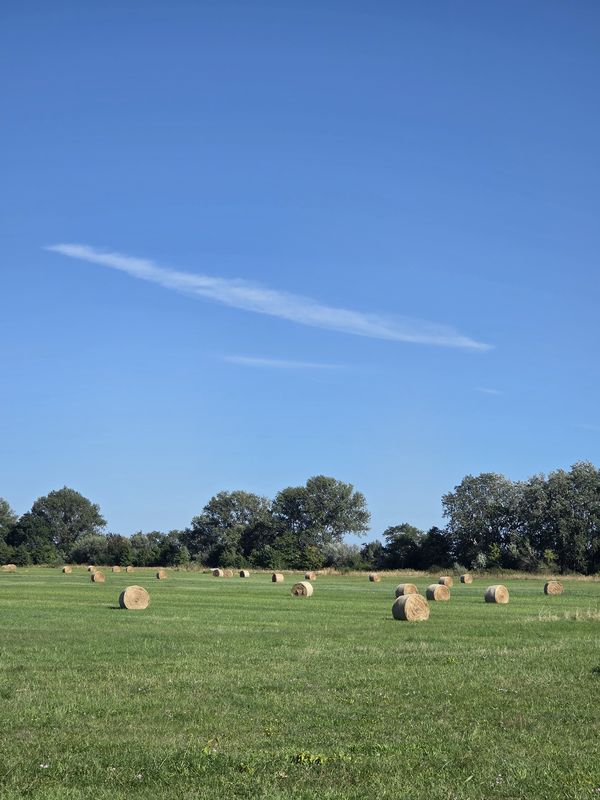Am Bauhof nach Campingstraße
