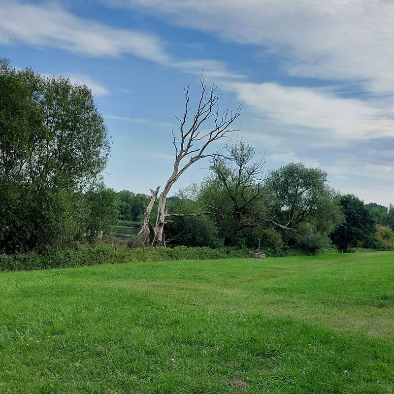 Droopweg nach Droopweg 15B