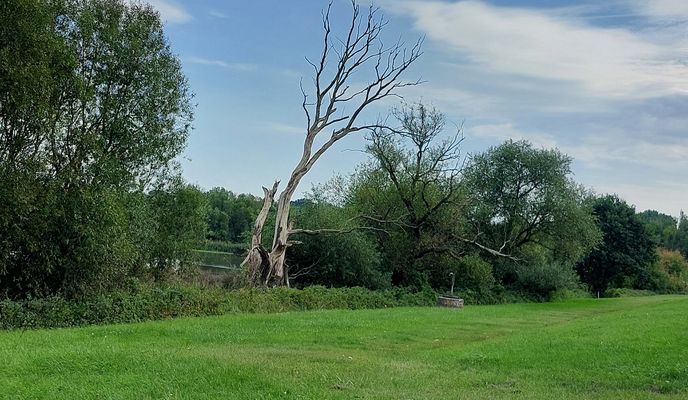 Foto 2 der Bikemap-Route "Droopweg nach Droopweg 15B"