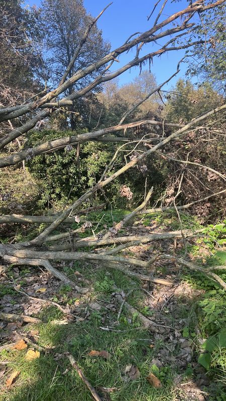 Via Lodovico Sforza, Galliate a Via Alessandro Volta, Galliate