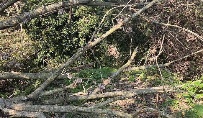 Foto 1 del percorso Bikemap "Via Lodovico Sforza, Galliate a Via Alessandro Volta, Galliate"