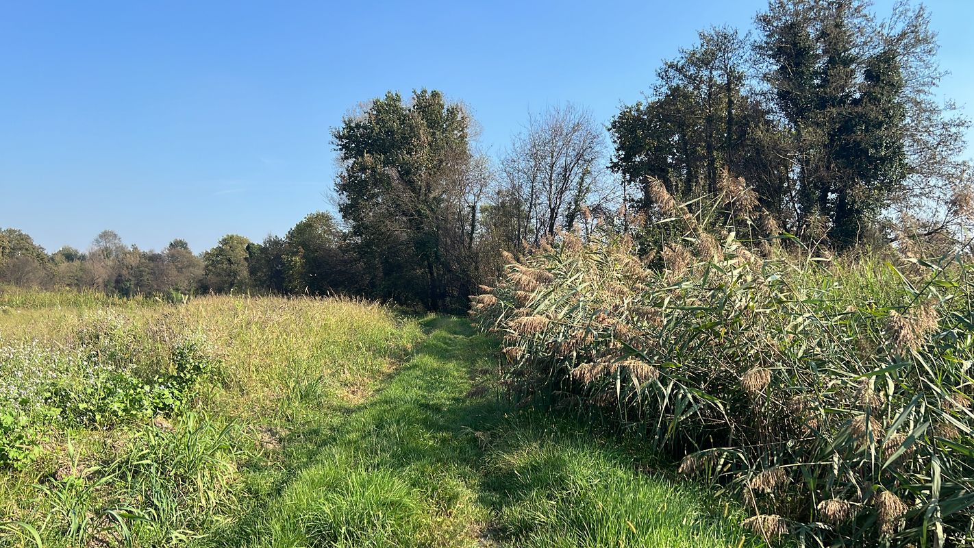 Via Lodovico Sforza, Galliate a Via Alessandro Volta, Galliate