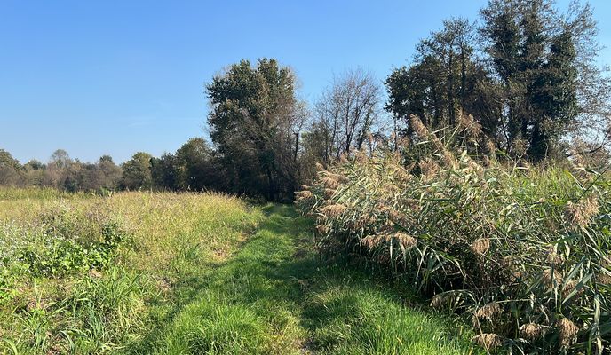 Foto 2 del percorso Bikemap "Via Lodovico Sforza, Galliate a Via Alessandro Volta, Galliate"