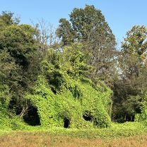 Foto 8 del percorso Bikemap "Via Lodovico Sforza, Galliate a Via Alessandro Volta, Galliate"