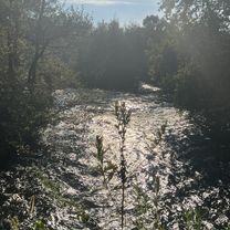 Foto 7 del percorso Bikemap "Via Lodovico Sforza, Galliate a Via Alessandro Volta, Galliate"