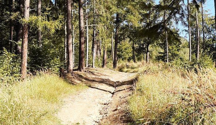 Foto 2 der Bikemap-Route "Cez Lesy."