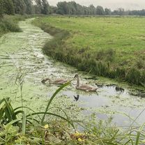 Foto 7 der Bikemap-Route "Pains Close, Beccles to Pains Close, Beccles"