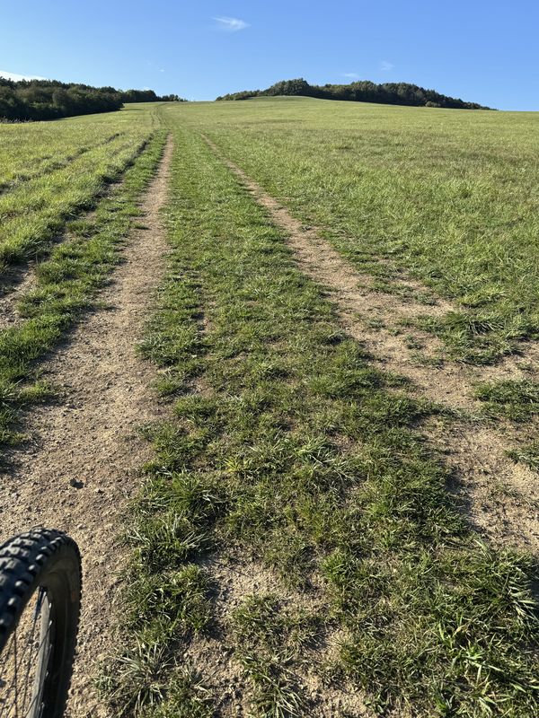 Hrubá Strana, Rybníky, Dolné Srnie