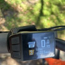 Florida National Scenic Trail, Dunnellon to Florida National Scenic Trail, Ocala