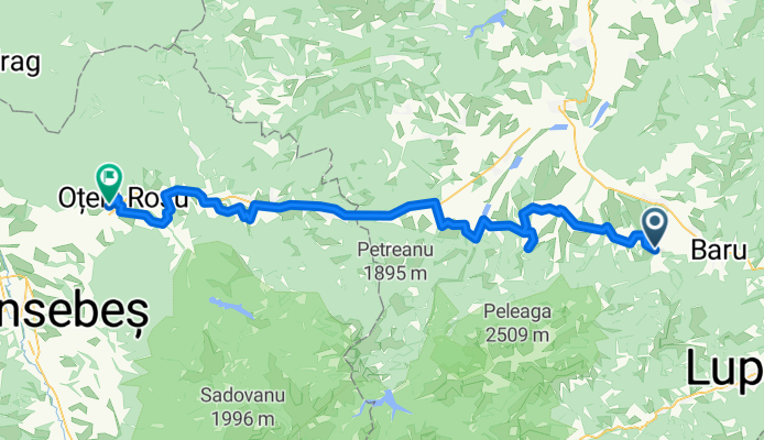 Pui - OÅ£elu RoÅŸu