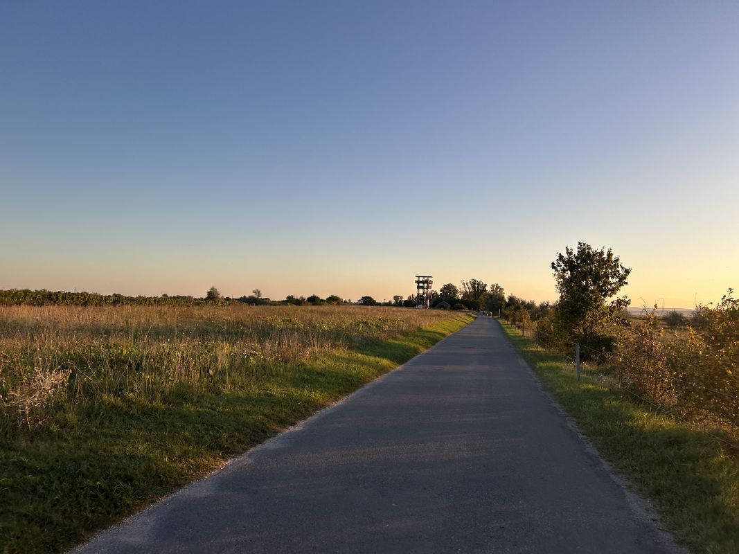 L310, Weiden am See to Friedhofgasse, Illmitz