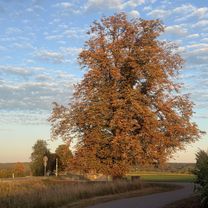 Photo 7 of the Bikemap route "Blickpunkt Runde"