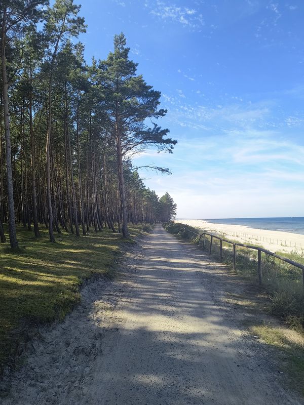 R10 Pruszcz Gdański - Piaski - Pruszcz Gdański