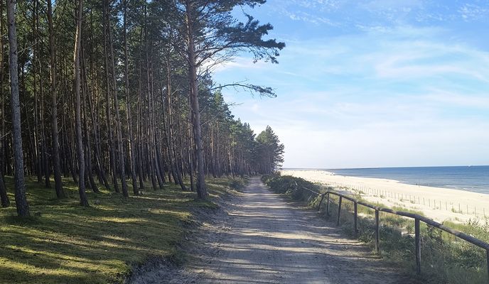 Foto 2 del percorso Bikemap "R10 Pruszcz Gdański - Piaski - Pruszcz Gdański"