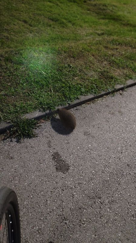 GMJV+95H to Mehmedalije Maka Dizdara