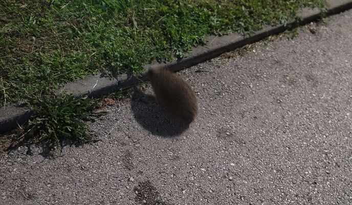 Foto 2 der Bikemap-Route "GMJV+95H to Mehmedalije Maka Dizdara" Foto 2 der Bikemap-Route "GMJV+95H to Mehmedalije Maka Dizdara"