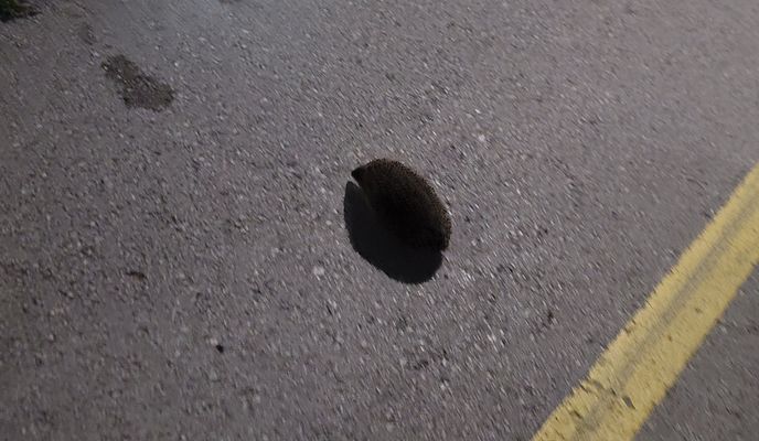 Foto 1 der Bikemap-Route "GMJV+95H to Mehmedalije Maka Dizdara" Foto 1 der Bikemap-Route "GMJV+95H to Mehmedalije Maka Dizdara"