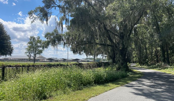 Photo 2 de l’itinéraire Bikemap « Florida National Scenic Trail, Ocala to Florida National Scenic Trail, Ocala »