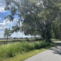 Florida National Scenic Trail, Ocala to Florida National Scenic Trail, Ocala