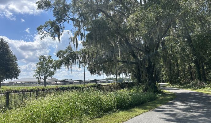 Photo 1 de l’itinéraire Bikemap « Florida National Scenic Trail, Ocala to Florida National Scenic Trail, Ocala »