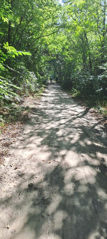 Lassú utazás