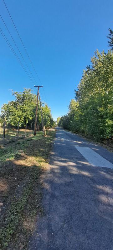 Lassú utazás
