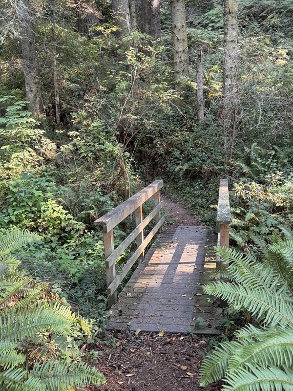Beach Trail, Greenbank to Beach Trail, Freeland