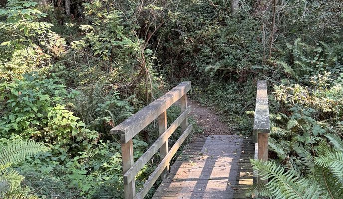 Photo 1 of the Bikemap route "Beach Trail, Greenbank to Beach Trail, Freeland"