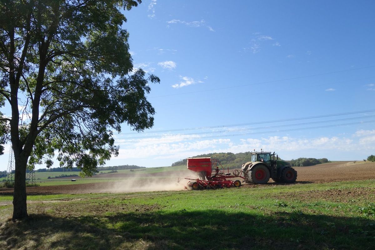 K Michalovi na oslavu