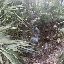 S Bridges Rd, Dunnellon to W Magenta Dr, Citrus Springs