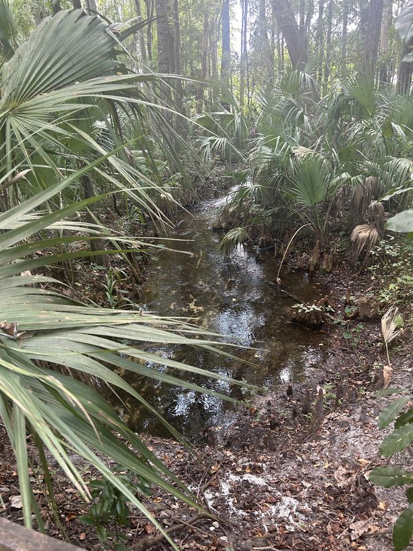 S Bridges Rd, Dunnellon to W Magenta Dr, Citrus Springs