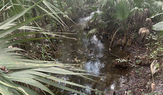 Photo 2 of the Bikemap route "S Bridges Rd, Dunnellon to W Magenta Dr, Citrus Springs"